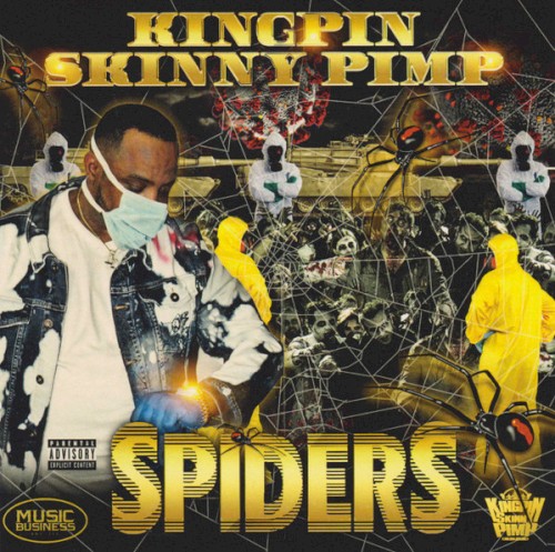 Spiders