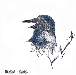 Raven Song