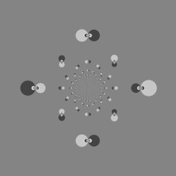 Continuo V-VIII