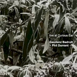 Live at Curious Ear