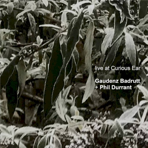 Live at Curious Ear