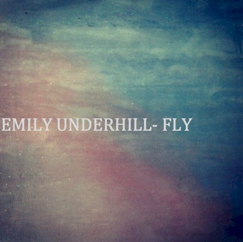 Fly