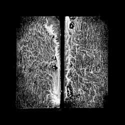 0002-21