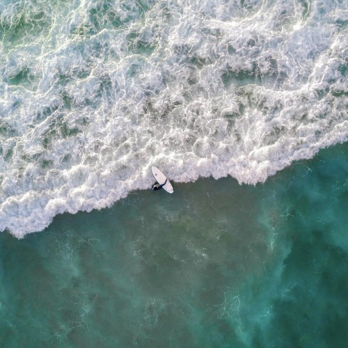 Surfs Up