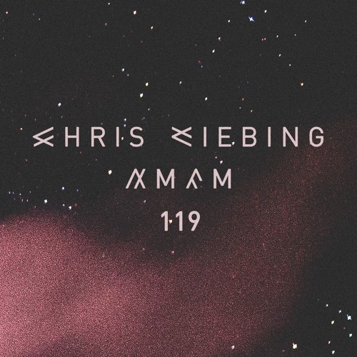 AM/FM 119