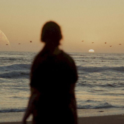 The Vanishing (Original Score)