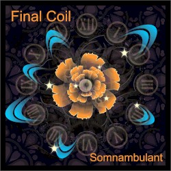 Somnambulant