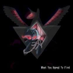What You Hoped to Find EP