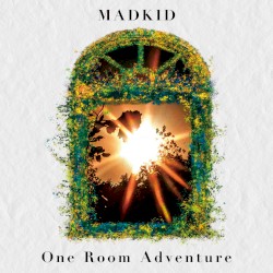 One Room Adventure