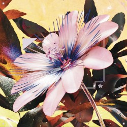 Passionfruit (Drake cover)