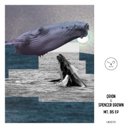 MT. DS EP