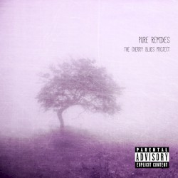 Pure Remixes