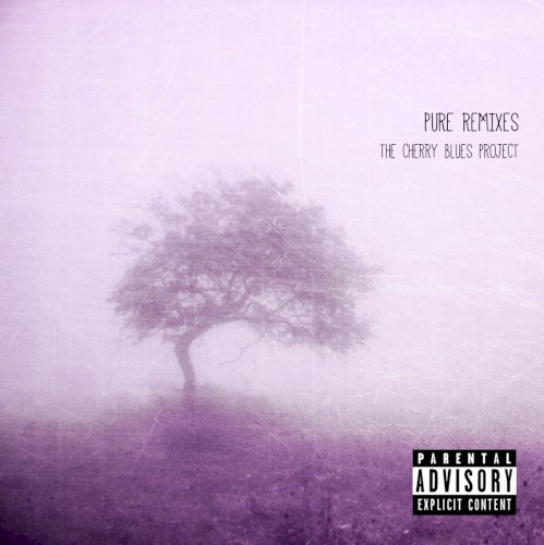 Pure Remixes