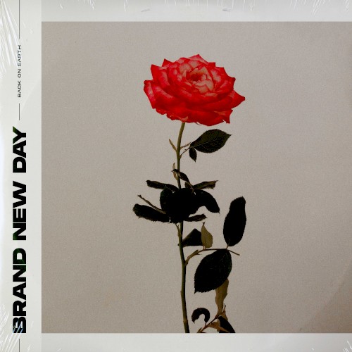 Brand New Day