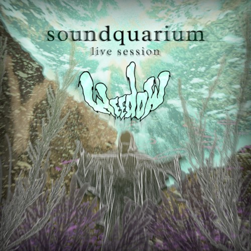 Soundquarium: Live Session
