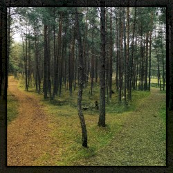 the roads that shaped us