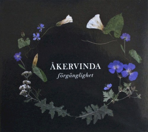 Förgänglighet