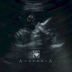 Anatomia