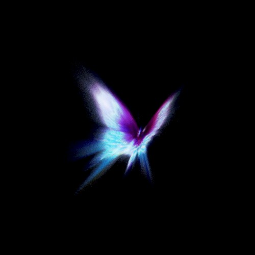 BUTTERFLY