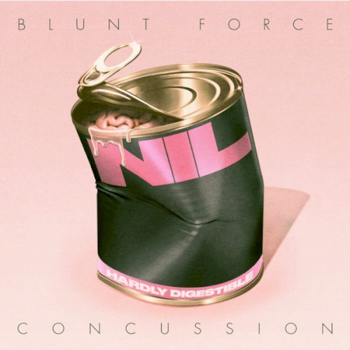 Blunt Force Concussion