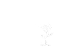 when white flowers bloom, a girl is born