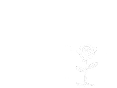 when white flowers bloom, a girl is born