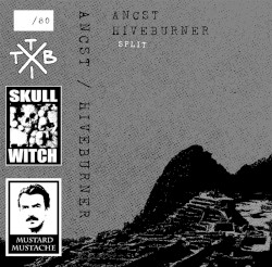 Ancst / Hiveburner