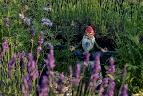 We're the Lively Toys of Transhuman Gnomes