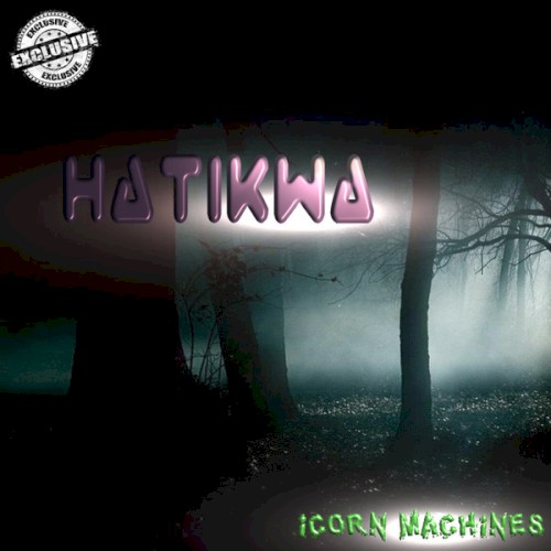 Icorn Machines