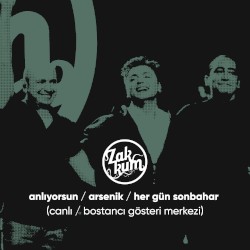 Anlıyorsun / Arsenik / Her Gün Sonbahar