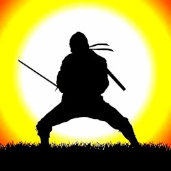 US Ninja Academy