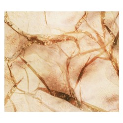 Tectonic Particles