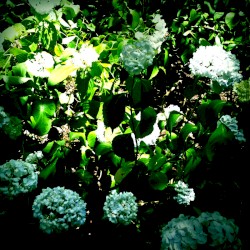 Earth Dub