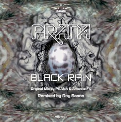 Black Rain (Remastered & Remixed by Roy Sason)