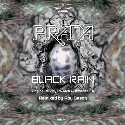 Black Rain (Remastered & Remixed by Roy Sason)