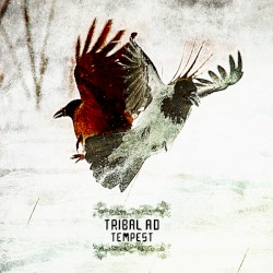 Tempest