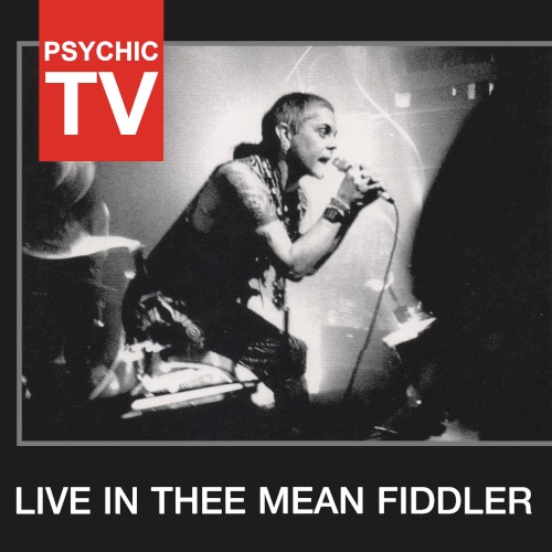 Live In Thee Mean Fiddler