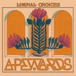 Liminal Choices