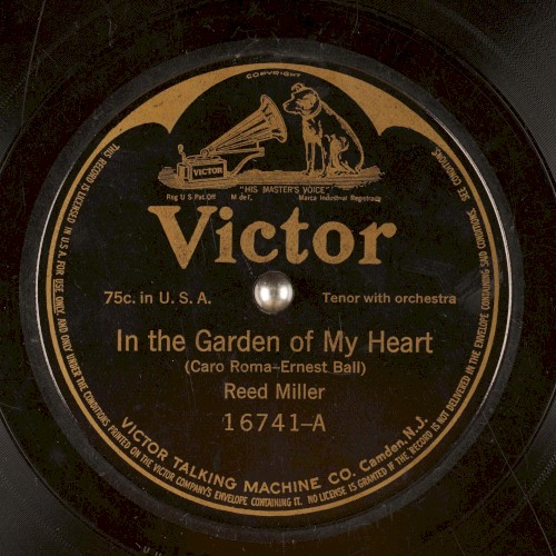 In The Garden Of My Heart / My Wild Irish Rose