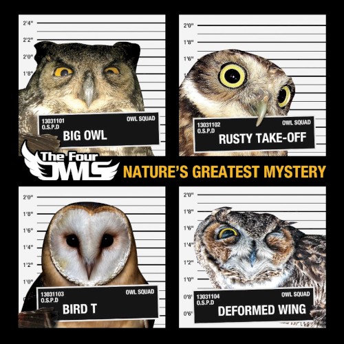 Nature’s Greatest Mystery