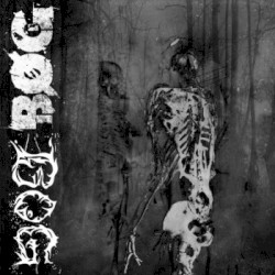 Bog / Bøg
