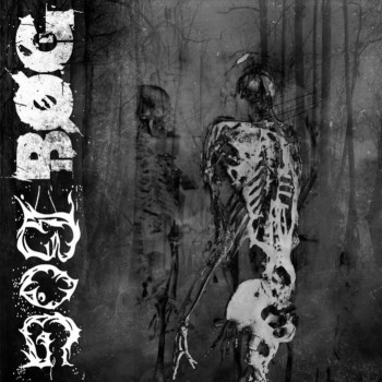 Bog / Bøg