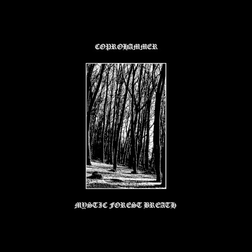 Mystic Forest Breath