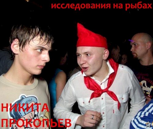 Исследования на рыбах