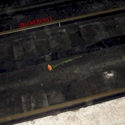 29.03.2010