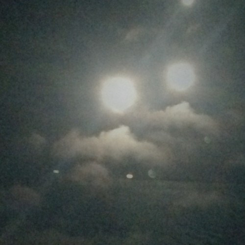 Cygnus