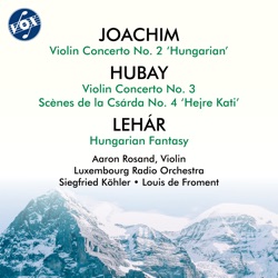 Violin Concertos