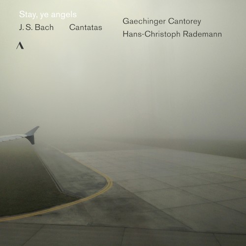 Stay, ye angels: Cantatas