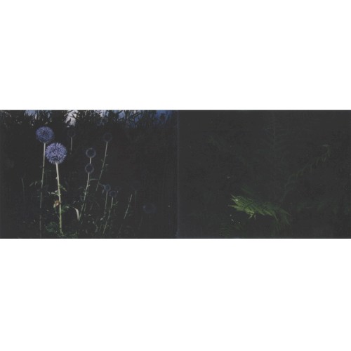 [untitled]
