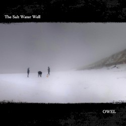 The Salt Water Well